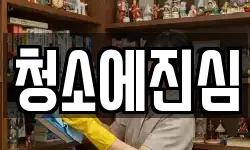 청소에진심