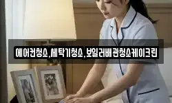 에어컨청소,세탁기청소,보일러배관청소케이크린