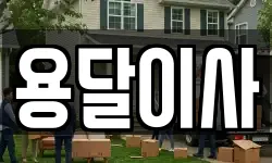 용달이사