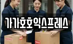 가가호호익스프레스