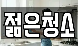 젊은청소