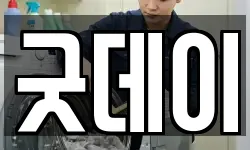 굿데이