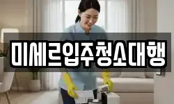 미세르입주청소대행