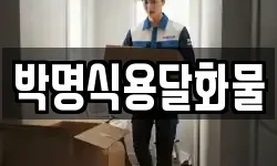 박명식용달화물