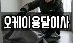 오케이용달이사