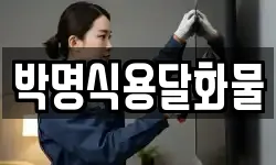 박명식용달화물