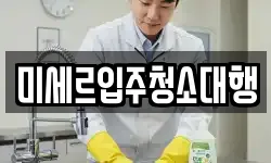 미세르입주청소대행