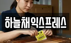 경기도 포천시 이사,용달이사,포장이사,원룸이사,보관이사