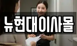 뉴현대이사몰