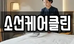 소선케어클린