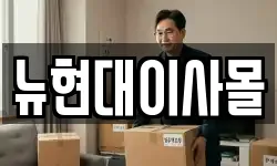 뉴현대이사몰