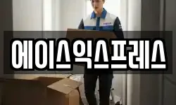 에이스익스프레스
