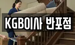 경기도 하남시 감일동 이사,용달이사,포장이사,원룸이사,보관이사
