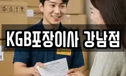 KGB포장이사 강남점