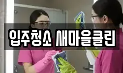 입주청소 새마을클린