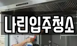 나린입주청소