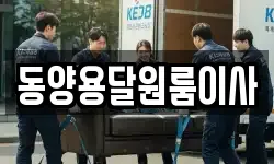 동양용달원룸이사