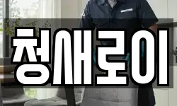청새로이