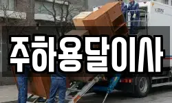 주하용달이사