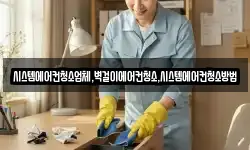 시스템에어컨청소업체,벽걸이에어컨청소,시스템에어컨청소방법