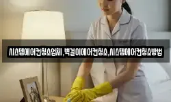 시스템에어컨청소업체,벽걸이에어컨청소,시스템에어컨청소방법