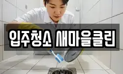 입주청소 새마을클린