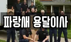 파랑새 용달이사
