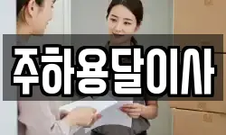 주하용달이사