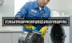 모던청소공장청소바닥왁스사무실청소준공청소상가청소바닥청소