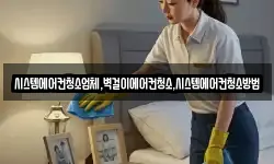 시스템에어컨청소업체,벽걸이에어컨청소,시스템에어컨청소방법