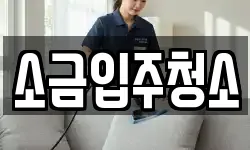 소금입주청소