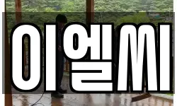 이엘씨