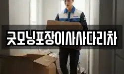 굿모닝포장이사사다리차