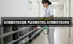 시스템에어컨청소업체,벽걸이에어컨청소,시스템에어컨청소방법
