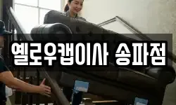 옐로우캡이사 송파점