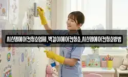 시스템에어컨청소업체,벽걸이에어컨청소,시스템에어컨청소방법