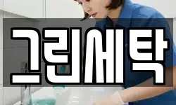그린세탁
