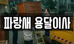 파랑새 용달이사