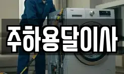 주하용달이사