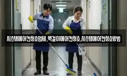 시스템에어컨청소업체,벽걸이에어컨청소,시스템에어컨청소방법