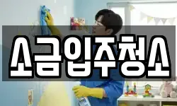 소금입주청소