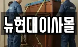 뉴현대이사몰