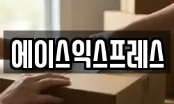 에이스익스프레스