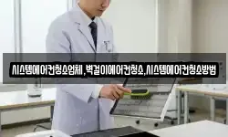 시스템에어컨청소업체,벽걸이에어컨청소,시스템에어컨청소방법