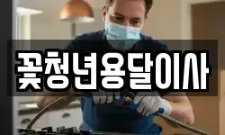 꽃청년용달이사