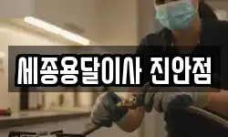 세종용달이사 진안점