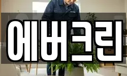 에버크린