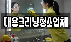 대용크리닝청소업체