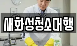 새화성청소대행