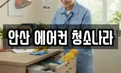 안산 에어컨 청소나라